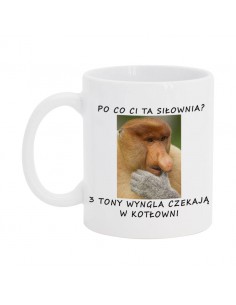 Po co ci ta siłownia?